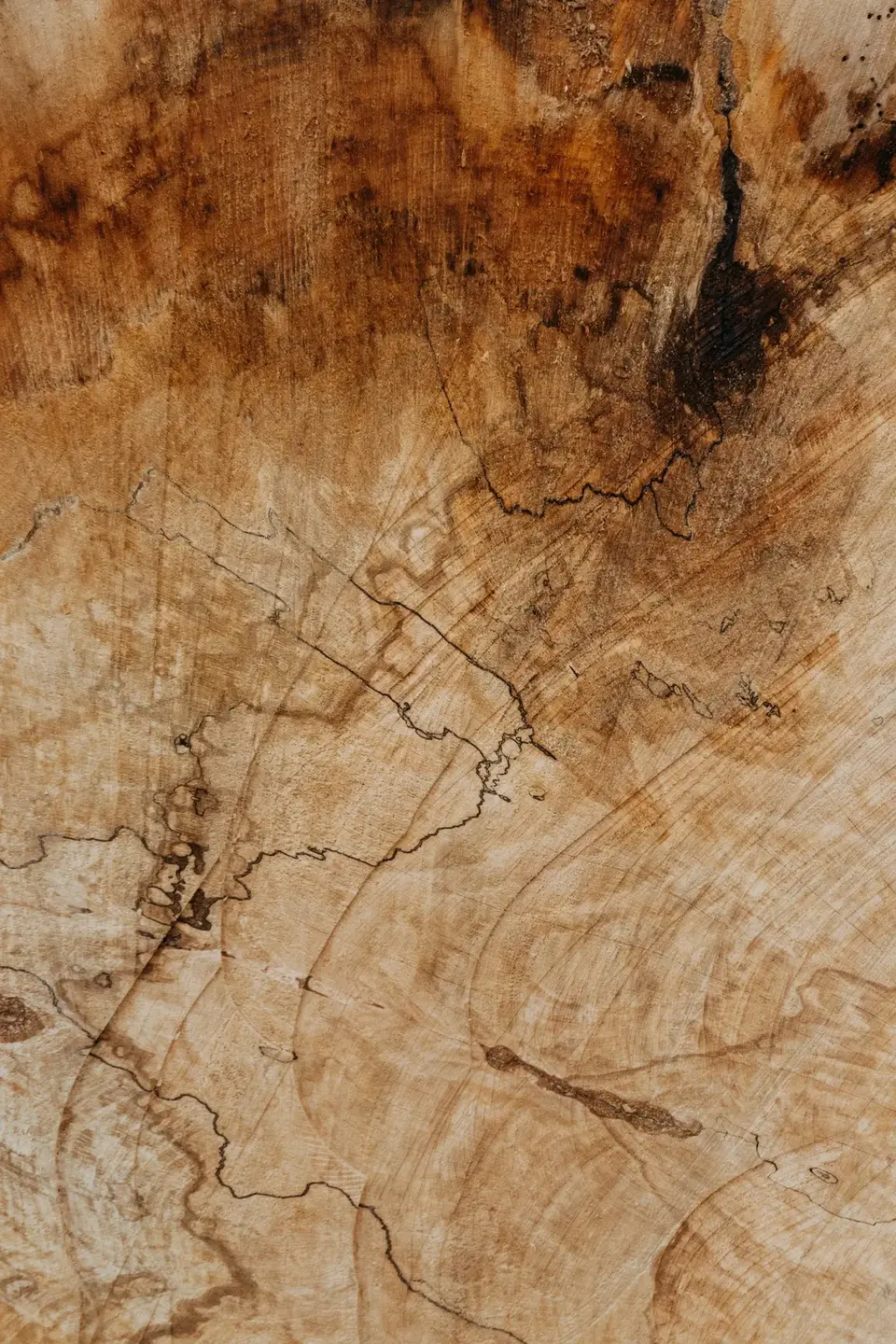 Woodcut texture - Carpentry Web design Webflow Template